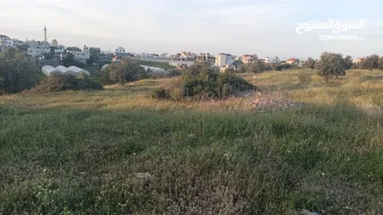  4 عقار للبيع