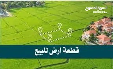  1 فرصة ذهبية لامتلاك قطعة أرض مميزة في نابلس الموقع: تل – عين المزراب – منطقة فلل راقية
