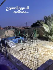  5 شاليهات جاهزة للبيع