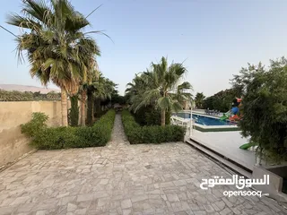  27 مزرعة نخيل مجهول مثمر ومنتج  + شاليه مودرن للبيع بأجمل مناطق الغور بالقرب من سد الكرامة 60 ك من عمان