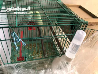  4 جوزين طيور حب مع قفص قابل لا التقسيم و كوخين
