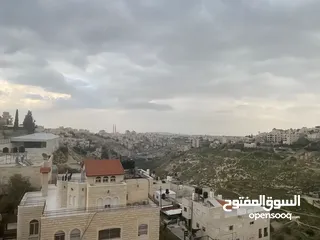  5 شقق سكنية للبيع