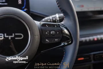  17 Byd Seagull 2024