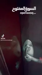  10 شقة لقطة للبيع في الماصيون