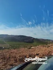  2 ارض للبيع - شفا بدران - زينات الربوع - سعر حرق