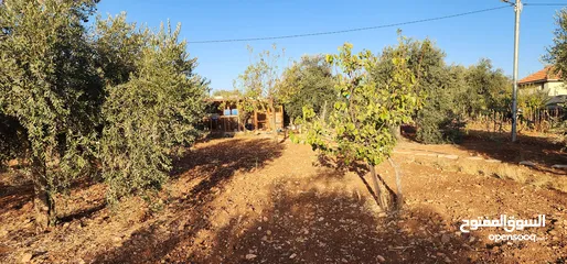  21 جرش جبا  مقابل ثغرة عصفور