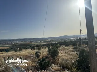  1 ارض للبيع جنين