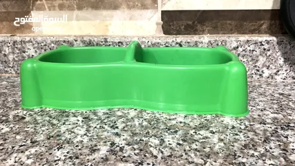  6 بسة بريتش للتبني