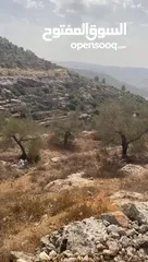  2 ارض للبيع بقراوه بني زيد