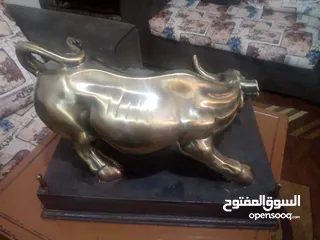  2 منظر ثور للبيع