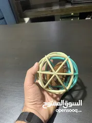  4 For sale اغراض متفرقات( قطط)