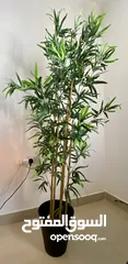  1 Artificial potted plant - in/outdoor bamboo