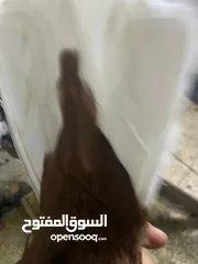  3 حمام للبيع جاوا اقرا النص