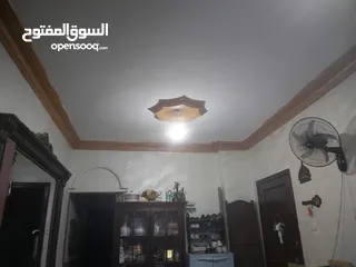  3 شقة مميزة في الهاشمي الشمالي لقطة للبيع المستعجل