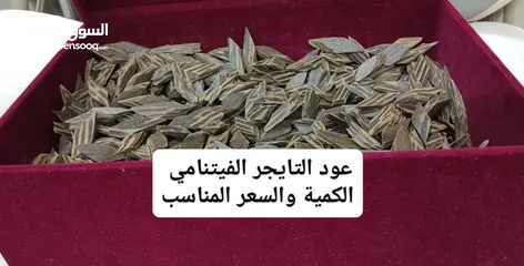  15 عود فيتنامي تايجر فاخر درجة إولى انظر الوصف والصور