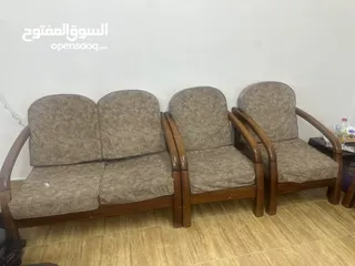  2 مورس للبيع خشب زان