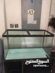  1 Aquarium For Sale