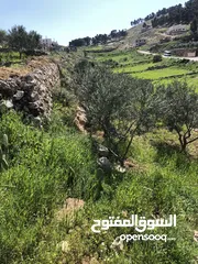  7 ارض لبيع دنمين وميتين وسبعه وسبعين متر بي جانب اسكان الداودي يمكن شراء جزء من الارض او فرزها