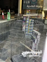  11 عرض على أقفاص العجال ستاند متحرك العرض لمدة أسبوع