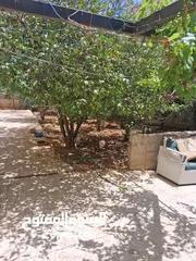  10 عمارة للبيع مكونه من 4 طوابق