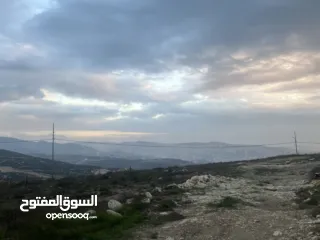  2 ارض اجنسنيا طابو