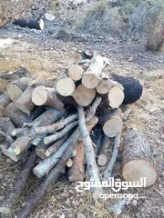  2 قص الأشجار وتقطيع الاشجار وتقليم الاشجار
