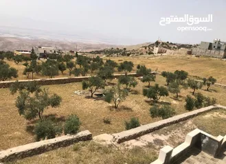  16 مزرعه للبيع في السلط مساحة الأرض 4218م مساحة البناء 450م