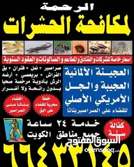  11 شركة الرحمة لمكافحة الحشرات والقوارض جميع مناطق الكويت خدمة 24 ساعة علي مدار اليوم
