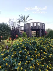  6 من أجمل مزارع تل الرمان بالقرب من مطعم خيل و ليل مزروعة مميزة تصميم عصري