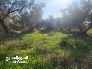  4 خلف مخابز البلد