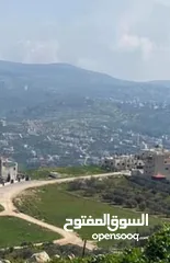  1 اراضي في المساكن الشعبيه نابلس