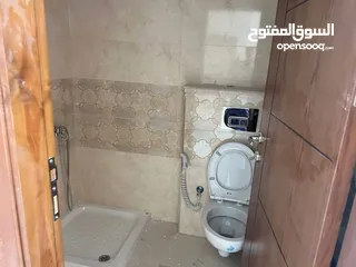  3 شقه فارغة للايجار في المصيون قرب  برافو