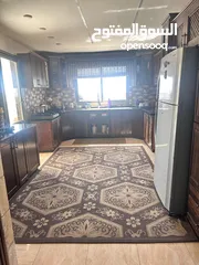  4 روفف فخر للبيعفي بتونيا