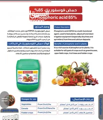  12 داون سفن مصنع سماد الشمال