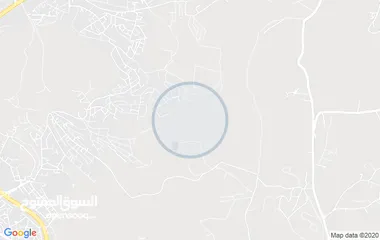  3 المغيرات حوض مريزقة 500م تابعه لأمانة عمان منطقة النصر