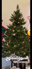  1 شجرة كريسماس Christmas tree
