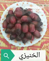  10 فسائل متنوعه للبيع