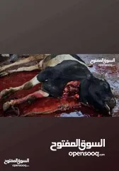  3 لحام متنقل لجميع المنازل