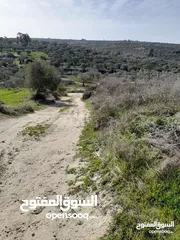  3 ارض للبيع بين الفندق وماتين