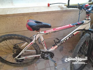  1 بسكليت جنك 26