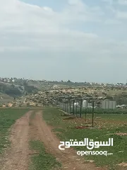  5 ارض سكنيه قرب مثلث حور فوعرا للبيع بسعر مغري