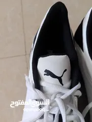  12 حذاء .Puma  اصلي بحال الوكاله لساته جديد وارد أروبي  الواحد ب 35