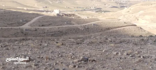  1 4 دونم وادي العش شارع المية