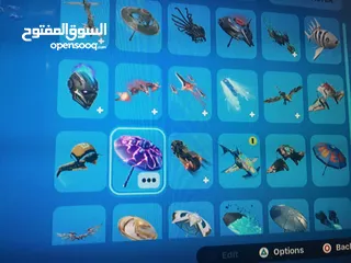  18 حساب فورتنايت و روكيت ليج fortnite and rocket leage acount