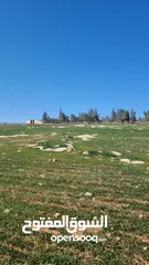  1 ارض للبيع في نتل  3414 متر - جنوب عمان