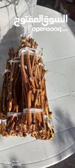  19 عنب للورق و الثمر تقليم