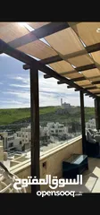  2 شقة مفروشه مع روف في عبدون للايجار