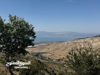 1 مطلوب مطلوب شقة للبيع