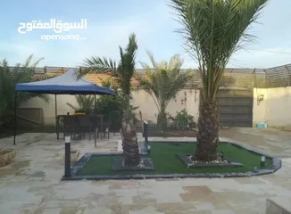  4 مزرعة للبيع الغور