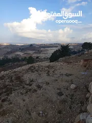  1 موجود ارضي للبيع في صوريف